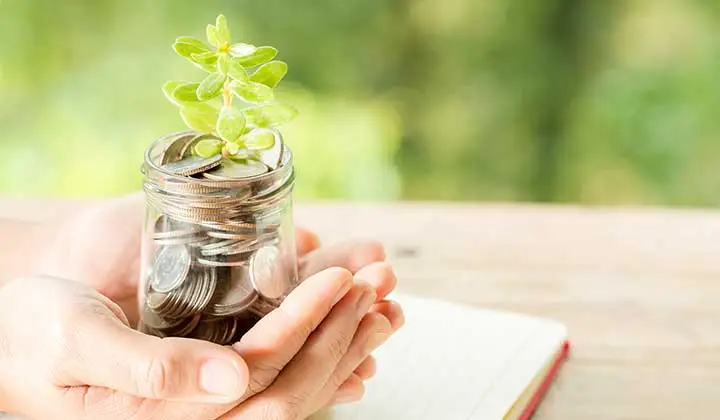 mutual funds investment